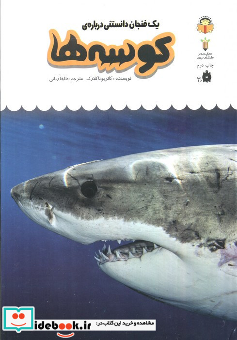 یک فنجان دانستنی درباره ی کوسه ها