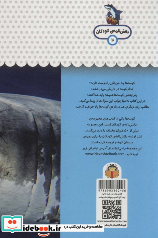 یک فنجان دانستنی درباره ی کوسه ها
