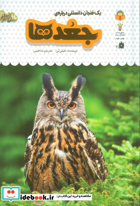 یک فنجان دانستنی درباره ی جغدها