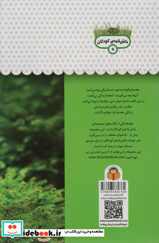یک فنجان دانستنی درباره ی جغدها