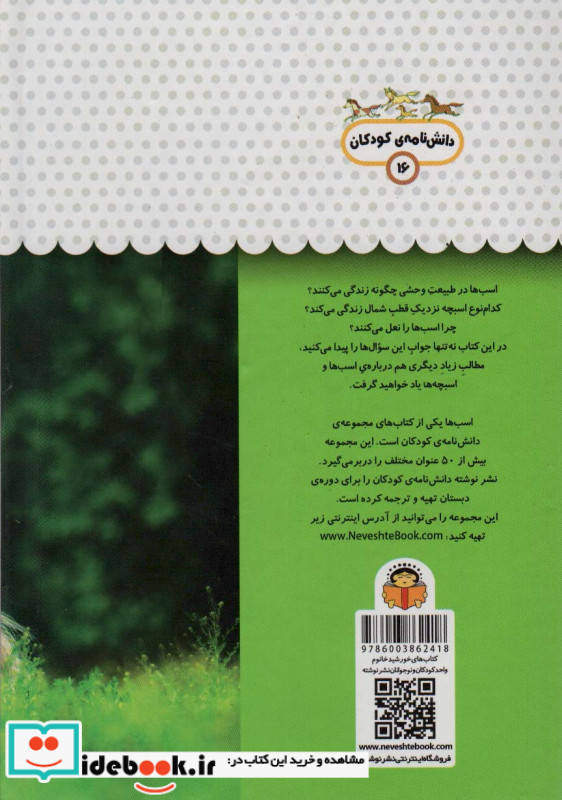 یک فنجان دانستنی درباره ی اسب ها