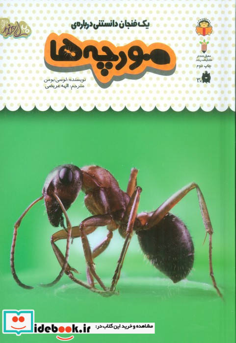 یک فنجان دانستنی درباره ی مورچه ها