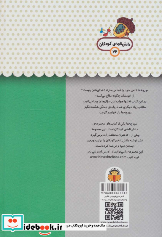 یک فنجان دانستنی درباره ی مورچه ها