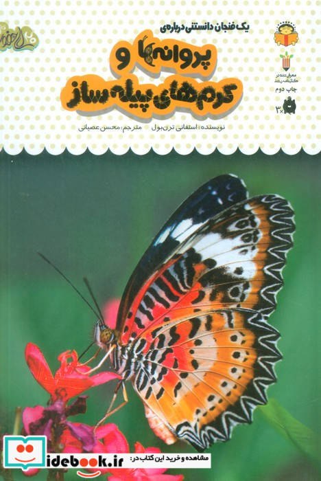 یک فنجان دانستنی درباره ی پروانه ها