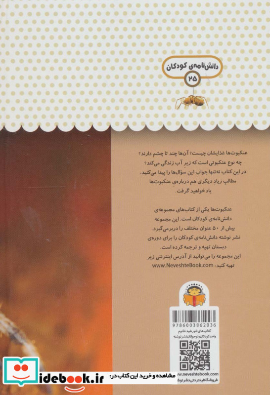 یک فنجان دانستنی درباره عنکبوت ها نشر نوشته
