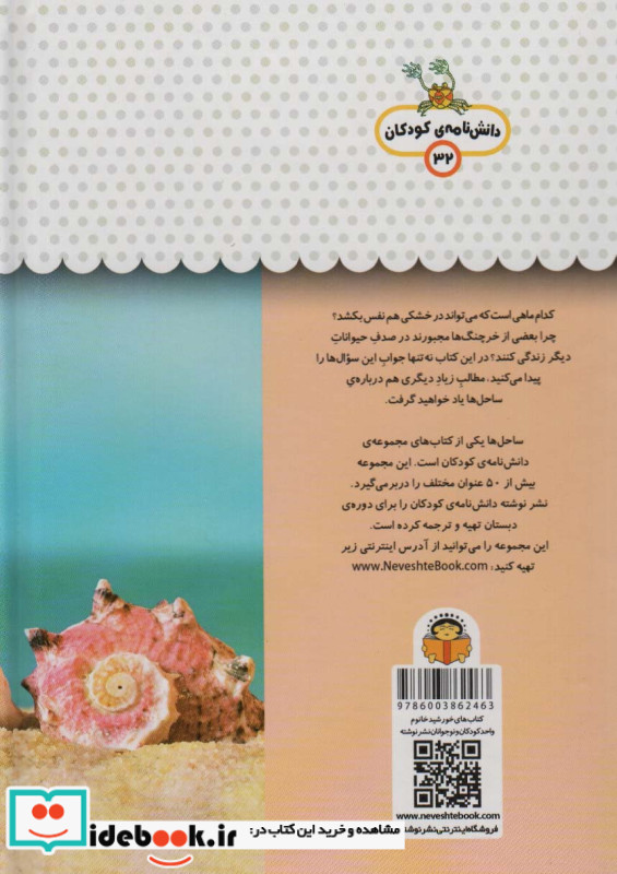 یک فنجان دانستنی درباره ی ساحل دریا