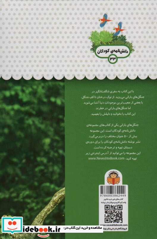 یک فنجان دانستنی درباره ی جنگل های بارانی