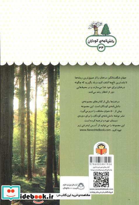 یک فنجان دانستنی درباره ی درخت ها