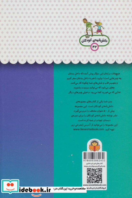 یک فنجان دانستنی درباره ی بدن شما