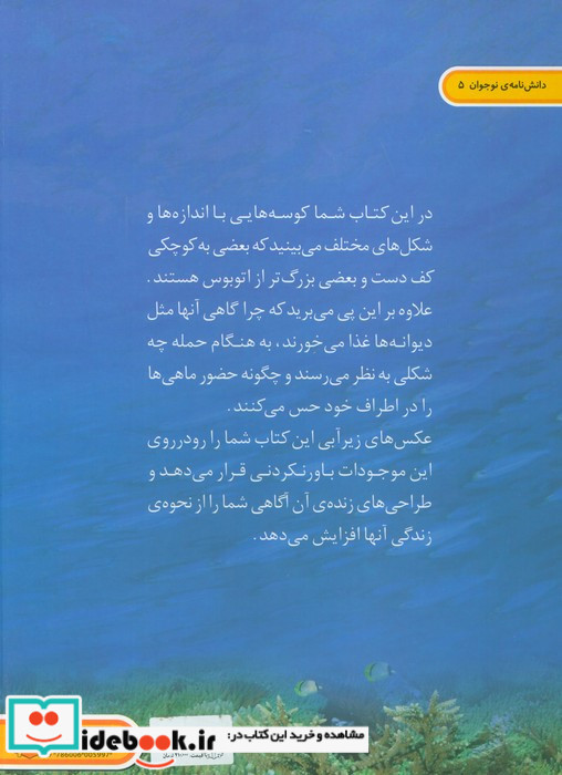 دنیای هیجان انگیز کوسه ها
