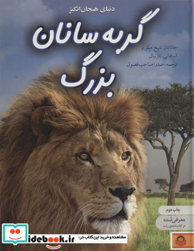 دنیای هیجان انگیز گربه سانان بزرگ