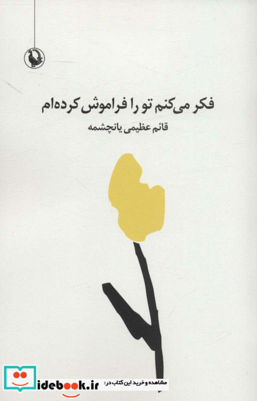 فکر می کنم تو را فراموش کردم