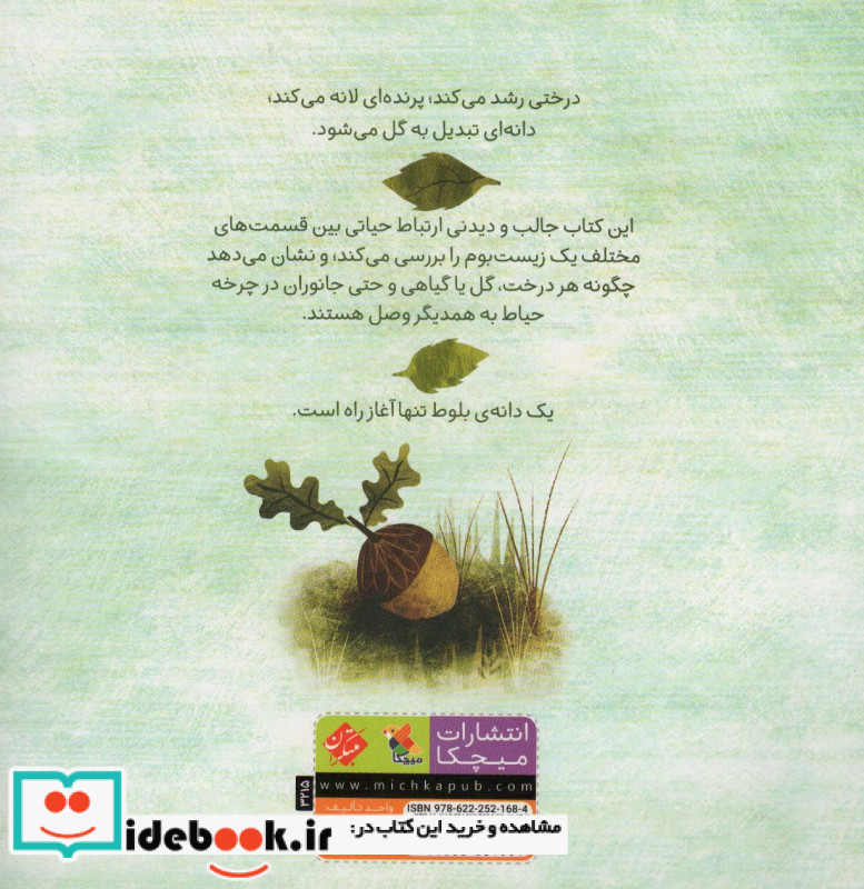 به خاطر یک دانه بلوط