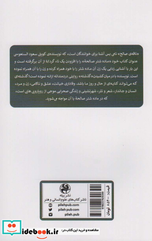ماده شتر صالحه