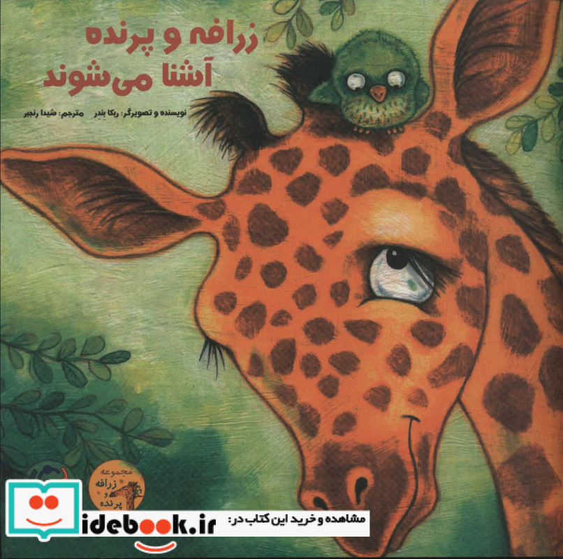 زرافه و پرنده آشنا می شوند