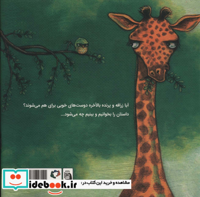 زرافه و پرنده آشنا می شوند