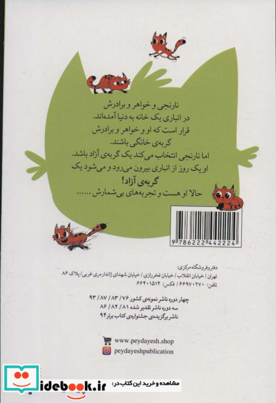 نارنجی گربه ی آزاد 2