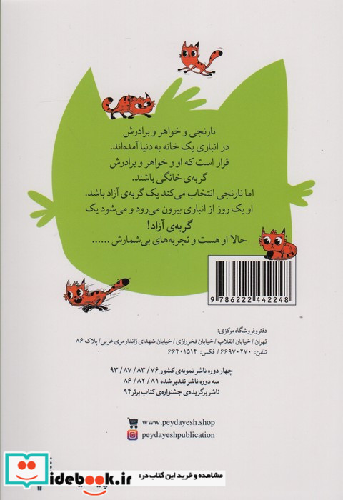 نارنجی گربه ی آزاد 4