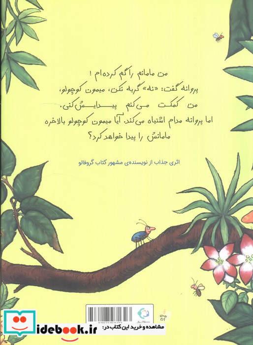 معمای میمون