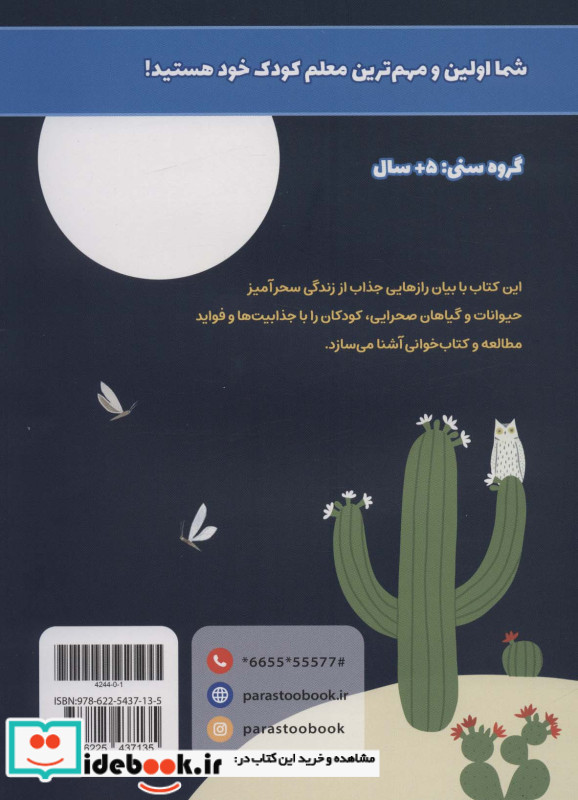 گل شب رو