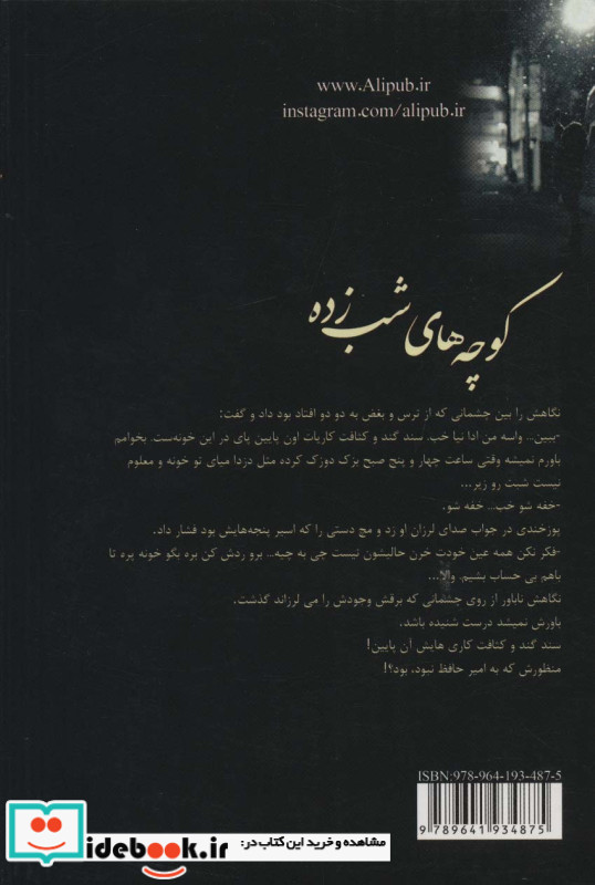 کوچه های شب زده