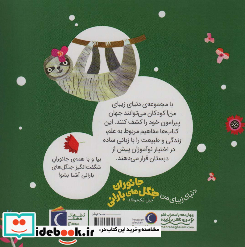 جانوران جنگل های بارانی