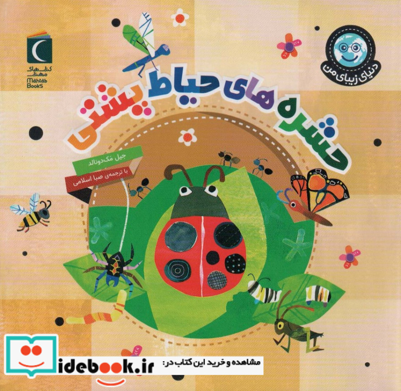 حشره های حیاط پشتی