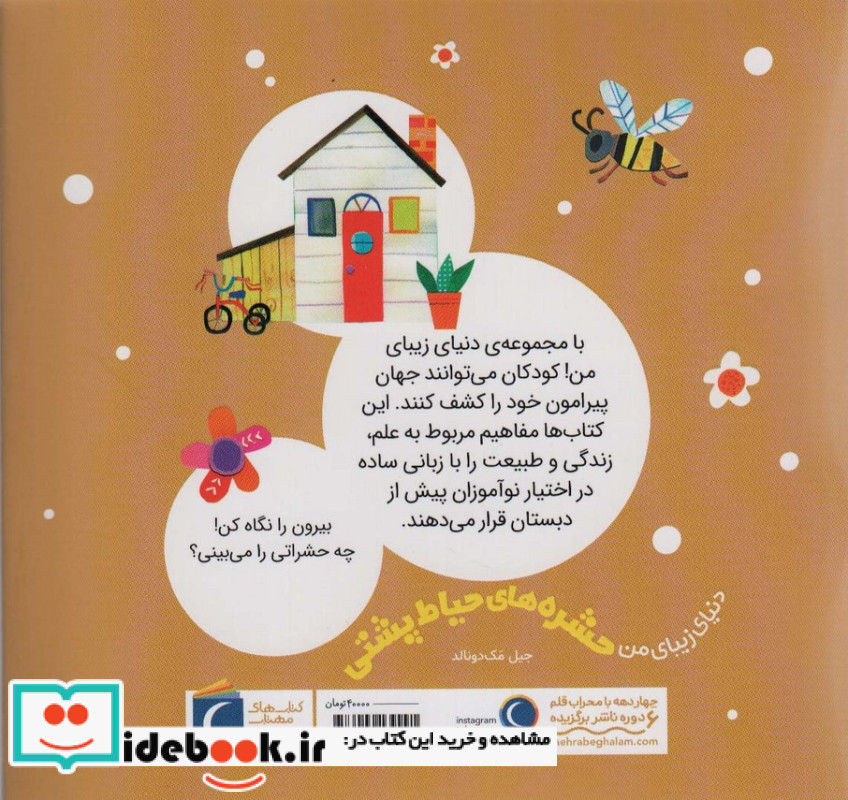 حشره های حیاط پشتی