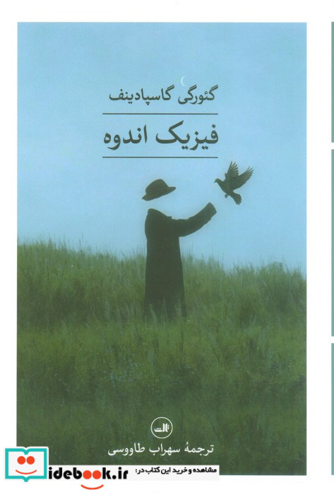 فیزیک اندوه