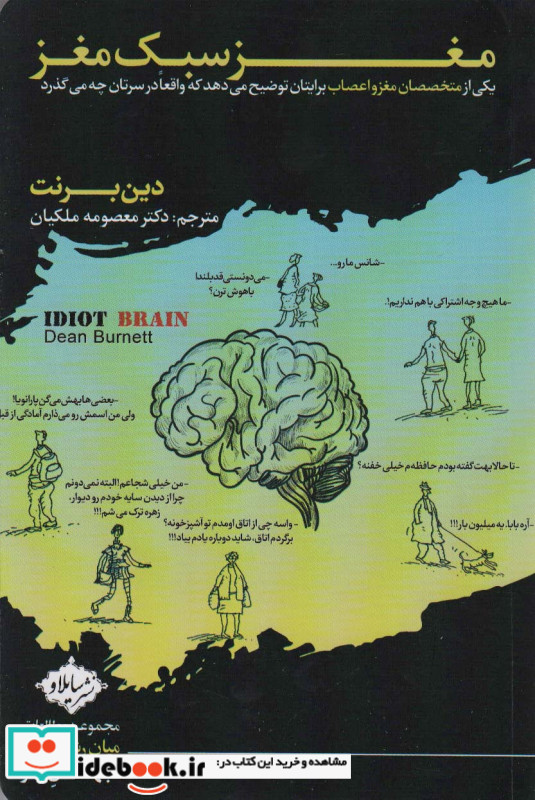 مغز سبک مغز سایلاو