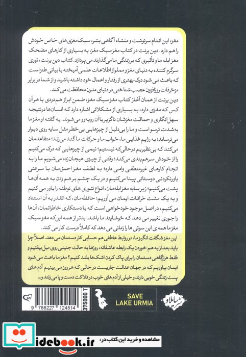 مغز سبک مغز سایلاو