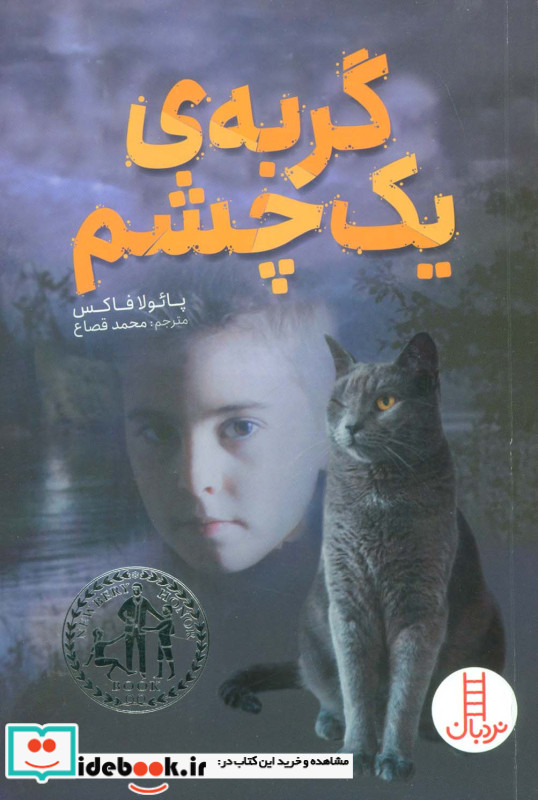 گربه ی یک چشم