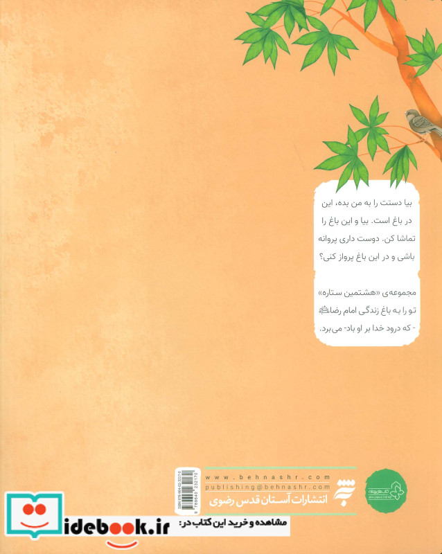 ماه زمین