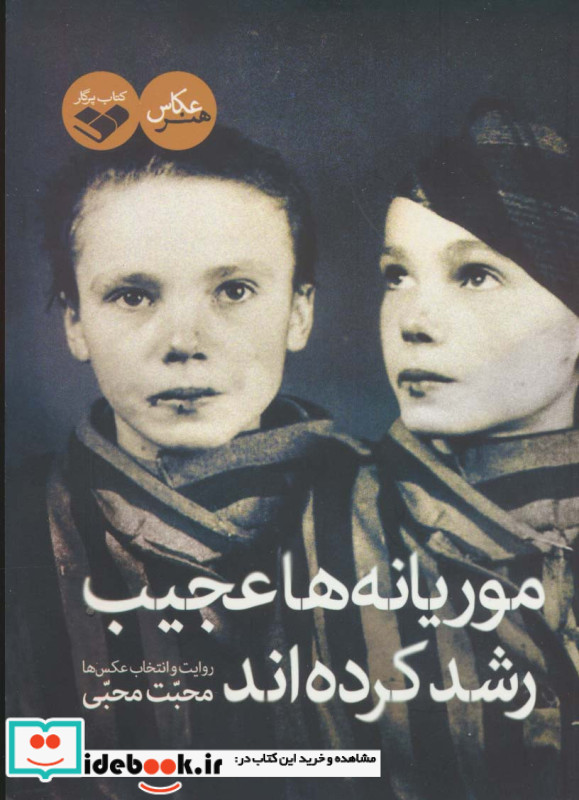 موریانه ها عجیب رشد کرده اند