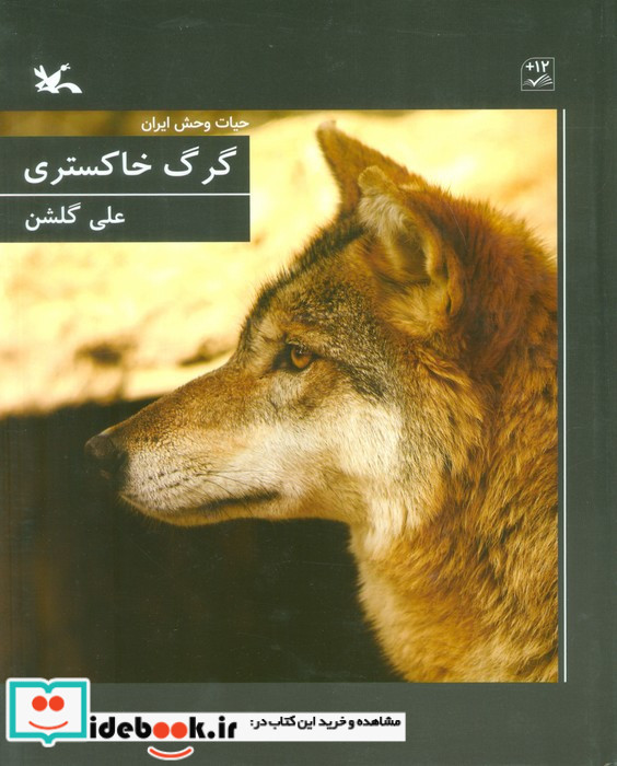 گرگ خاکستری
