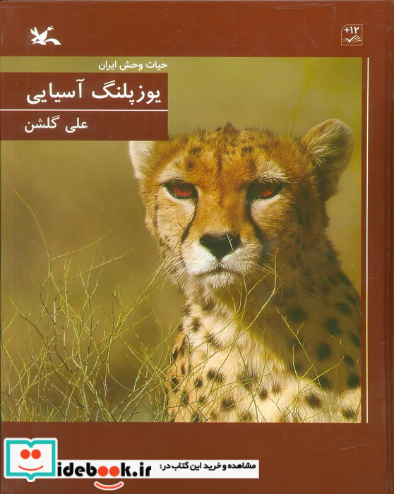 یوزپلنگ آسیایی