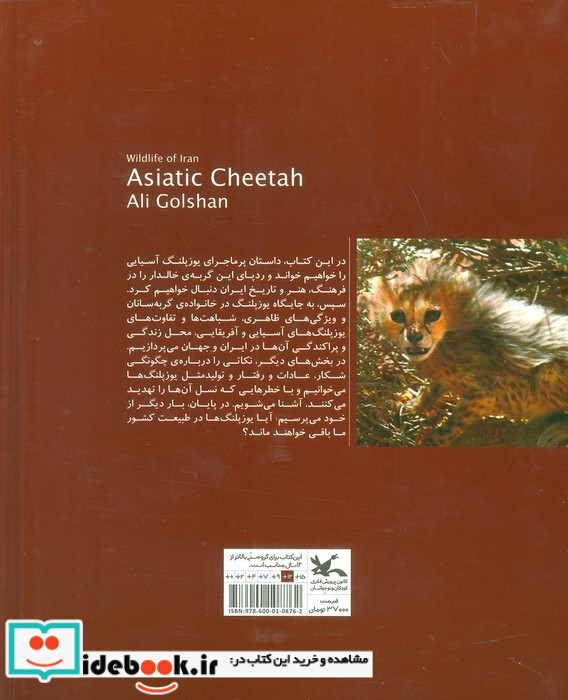 یوزپلنگ آسیایی