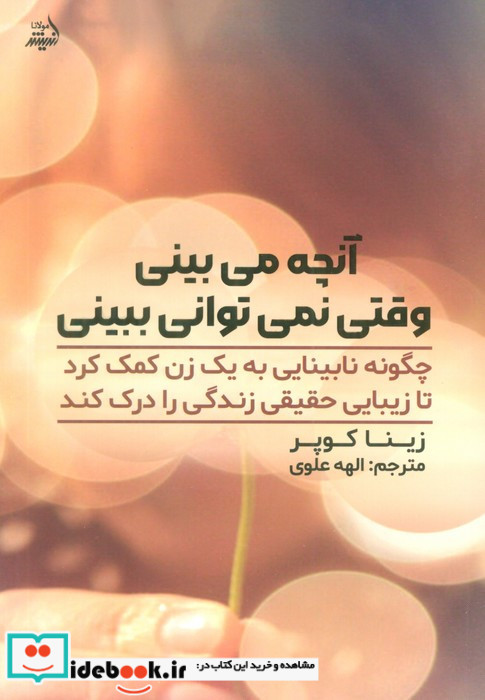 آنچه می بینی وقتی نمی توانی ببینی