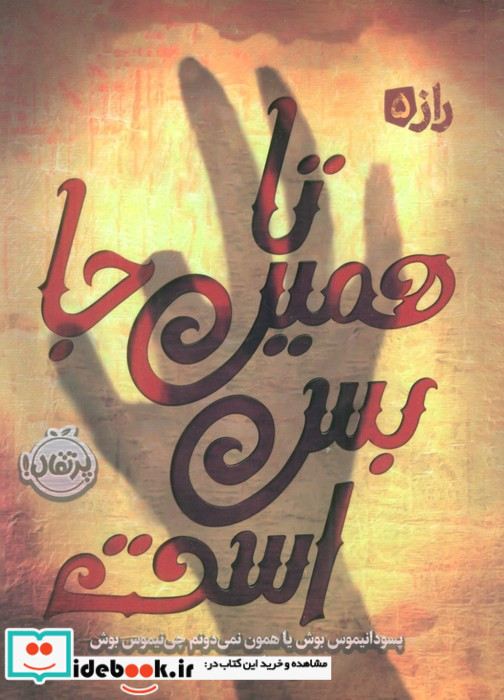 تا همین جا بس است