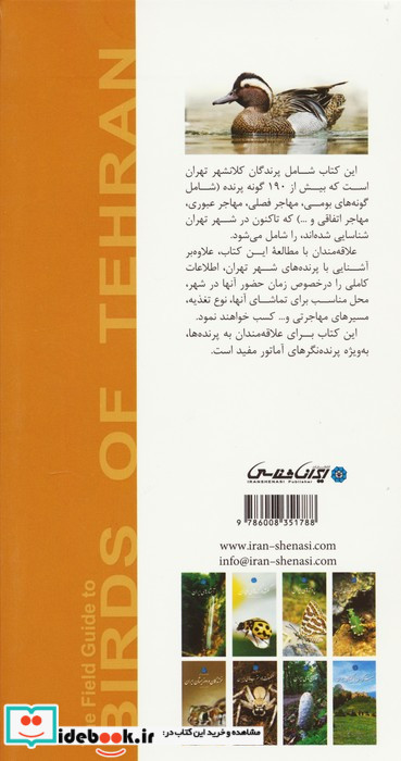 پرنده های شهر تهران