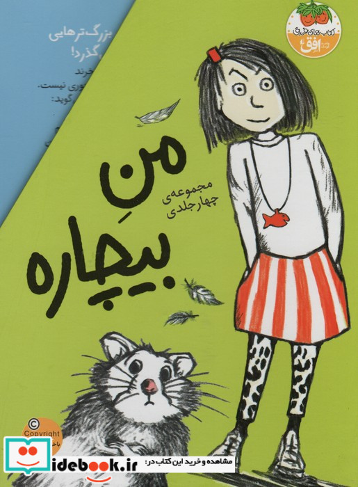 مجموعه من بیچاره 4جلدی