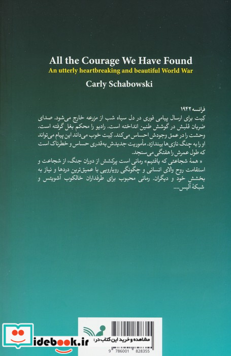 همه ی شجاعتی که یافتم
