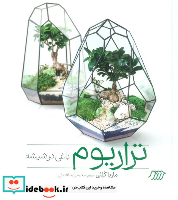 تراریوم باغی در شیشه
