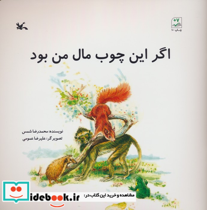 اگر این چوب مال من بود