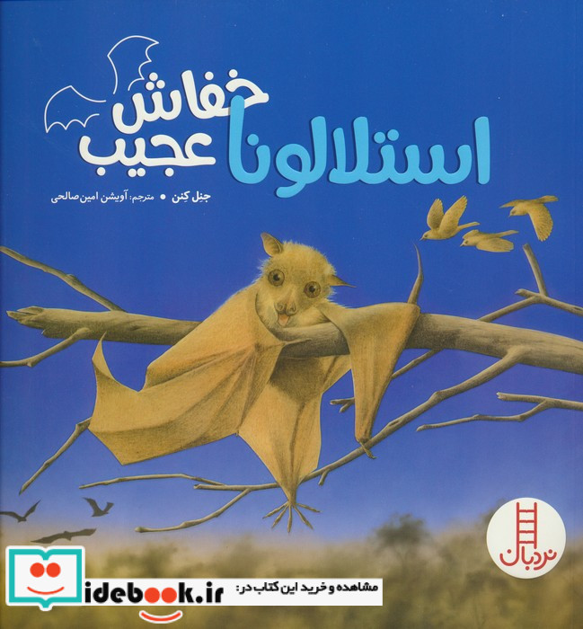 استلالونا خفاش عجیب