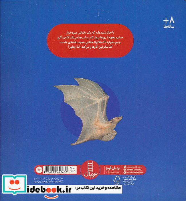 استلالونا خفاش عجیب