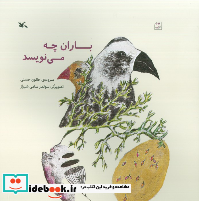 باران چه می نویسد