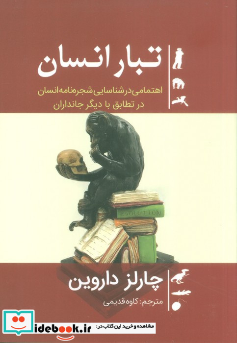 تبار انسان