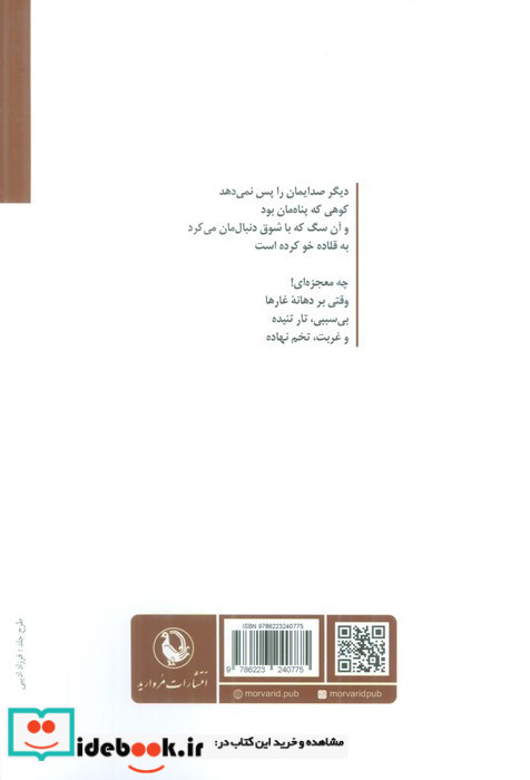 کوه صدایم را پس نمی دهد