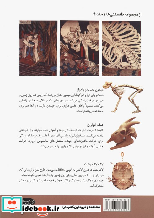 دانستنی های اسکلت انسان و حیوانات